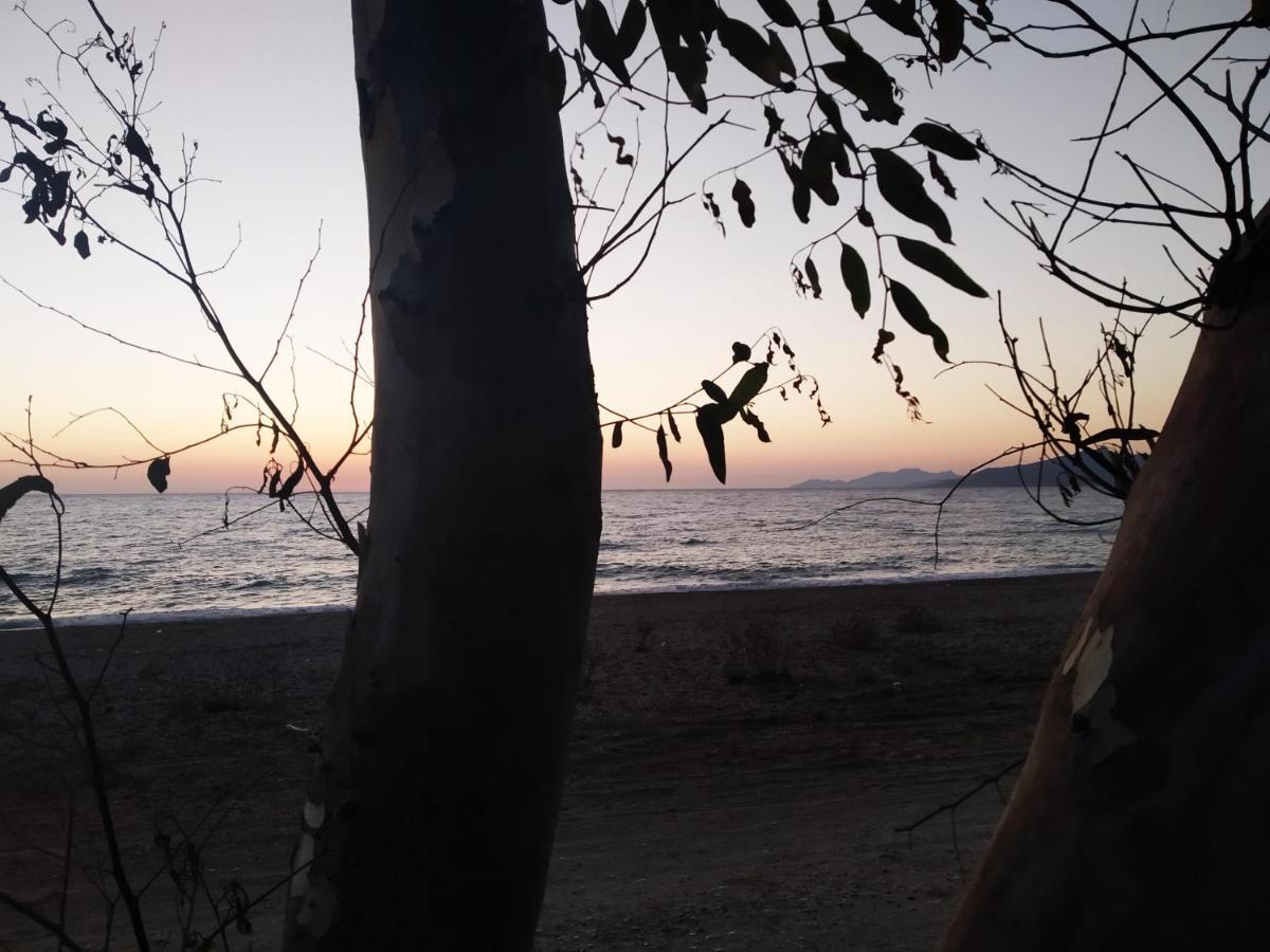 Amalias Place Μύτικας Εξωτερικό φωτογραφία