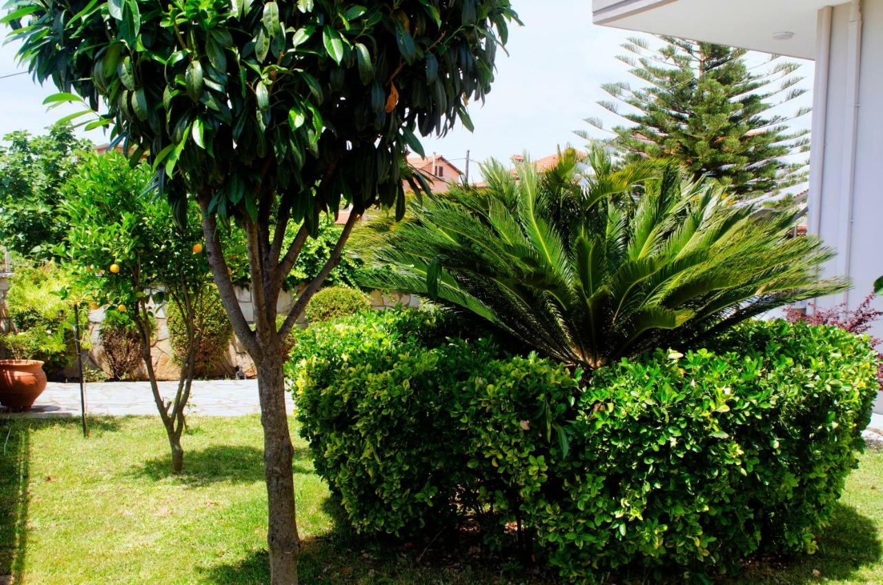 Amalias Place Μύτικας Εξωτερικό φωτογραφία